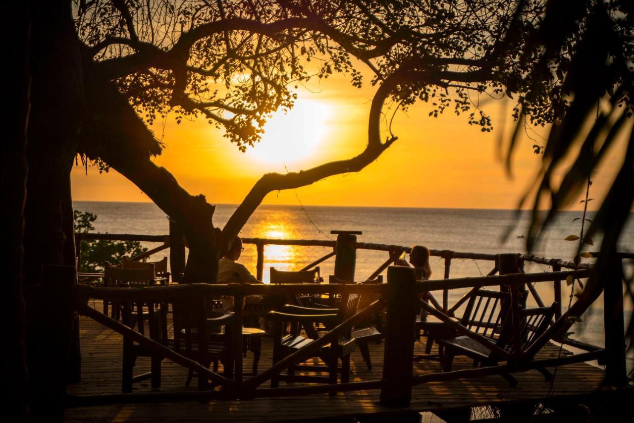 Hotel Mbweni Ruins & Gardens Previously Jungle Paradise 4*