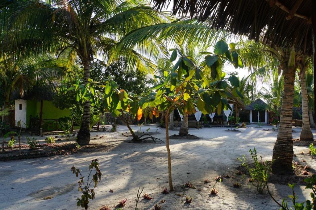 Dreams Of Mapacha Bed & Breakfast Michamvi Kae