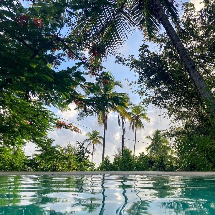Bellevue Zanzibar 3* Bwejuu