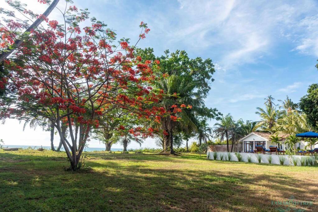 Villa Tamarind Tree Zanzibar