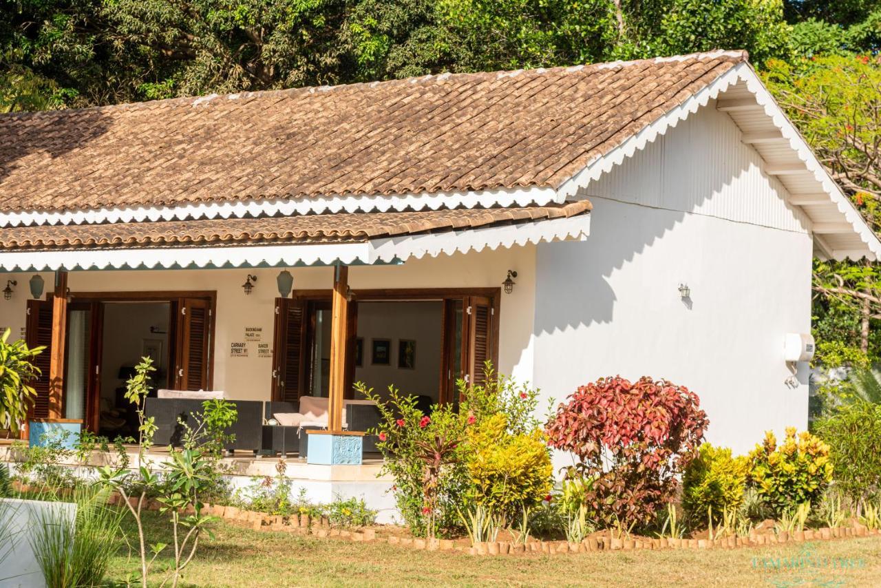 Tamarind Tree Villa *