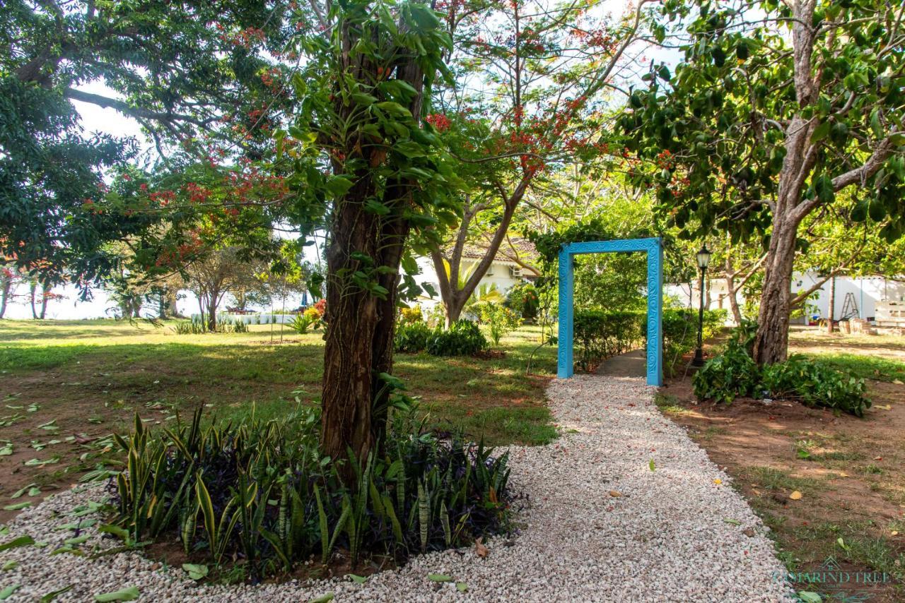 Villa Tamarind Tree Zanzibar