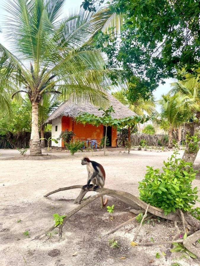 Dreams Of Mapacha Bed & Breakfast 3*