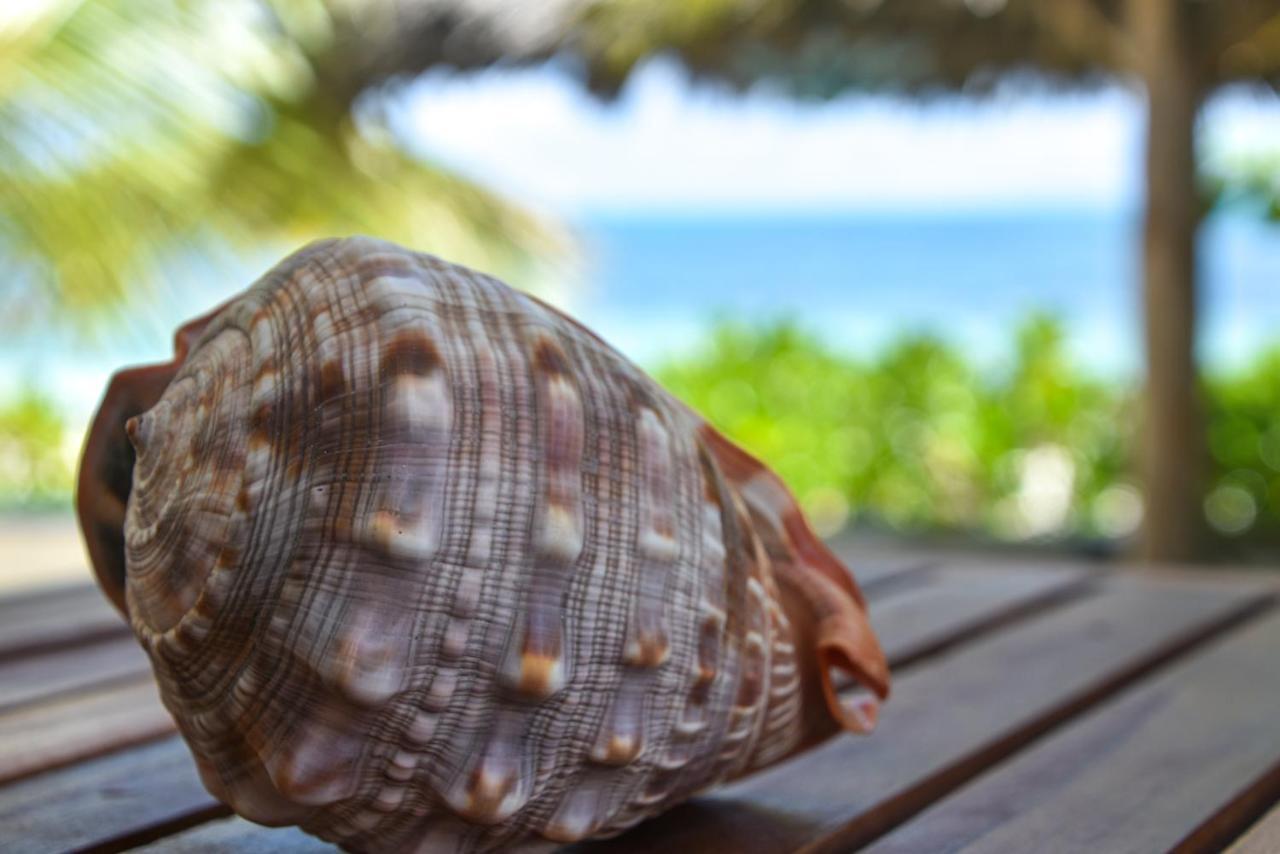 Malaika * Jambiani (Zanzibar)