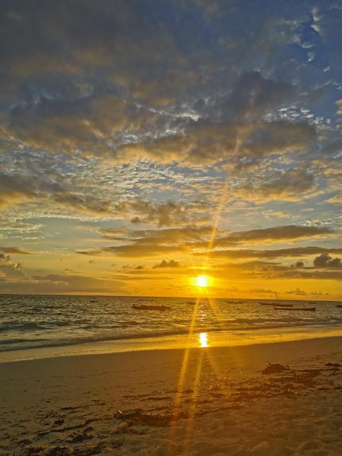 Resort Amani Nature Retreat *