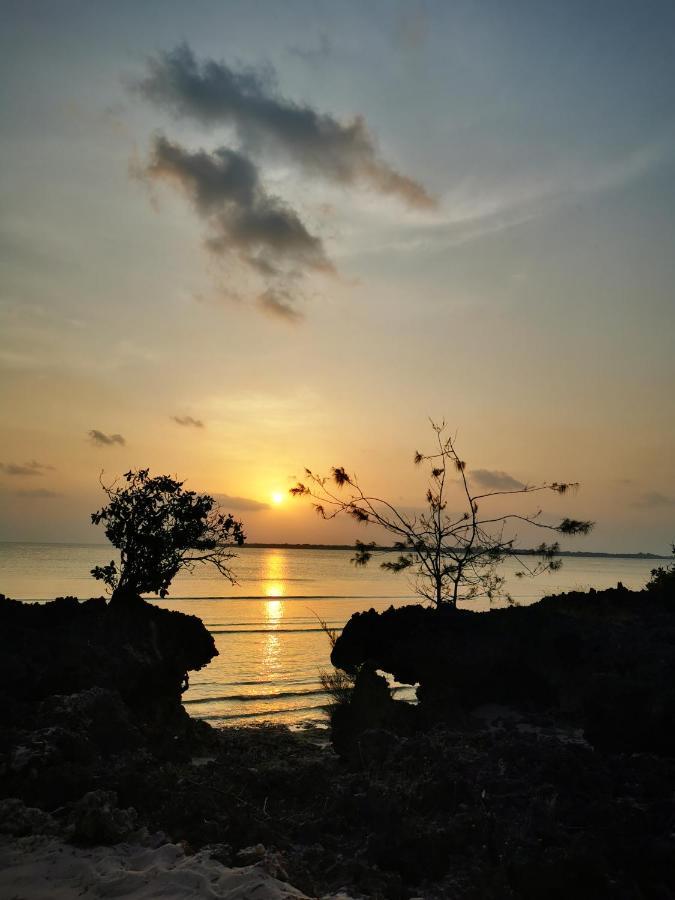 Resort Amani Nature Retreat *