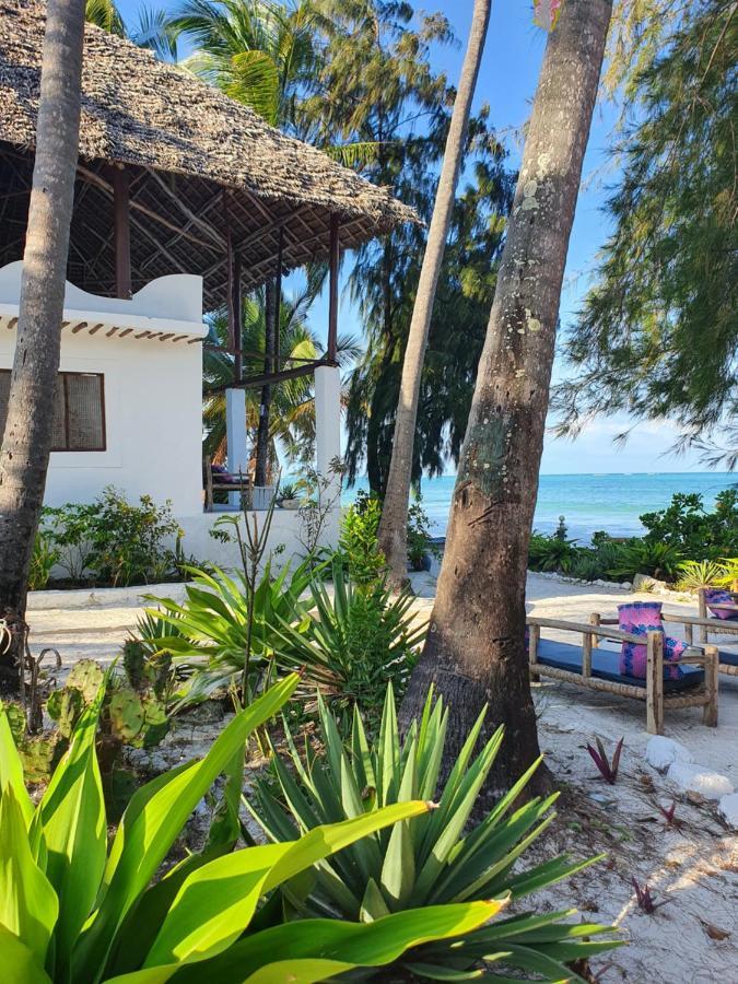 Bed & Breakfast Blue Palm Zanzibar