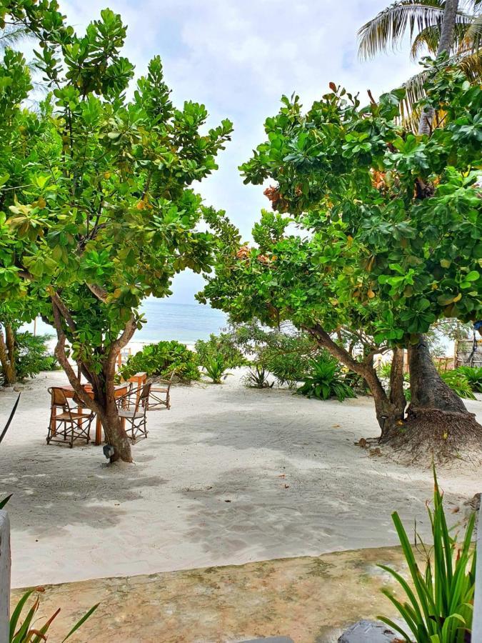 Bed & Breakfast Blue Palm Zanzibar 3*