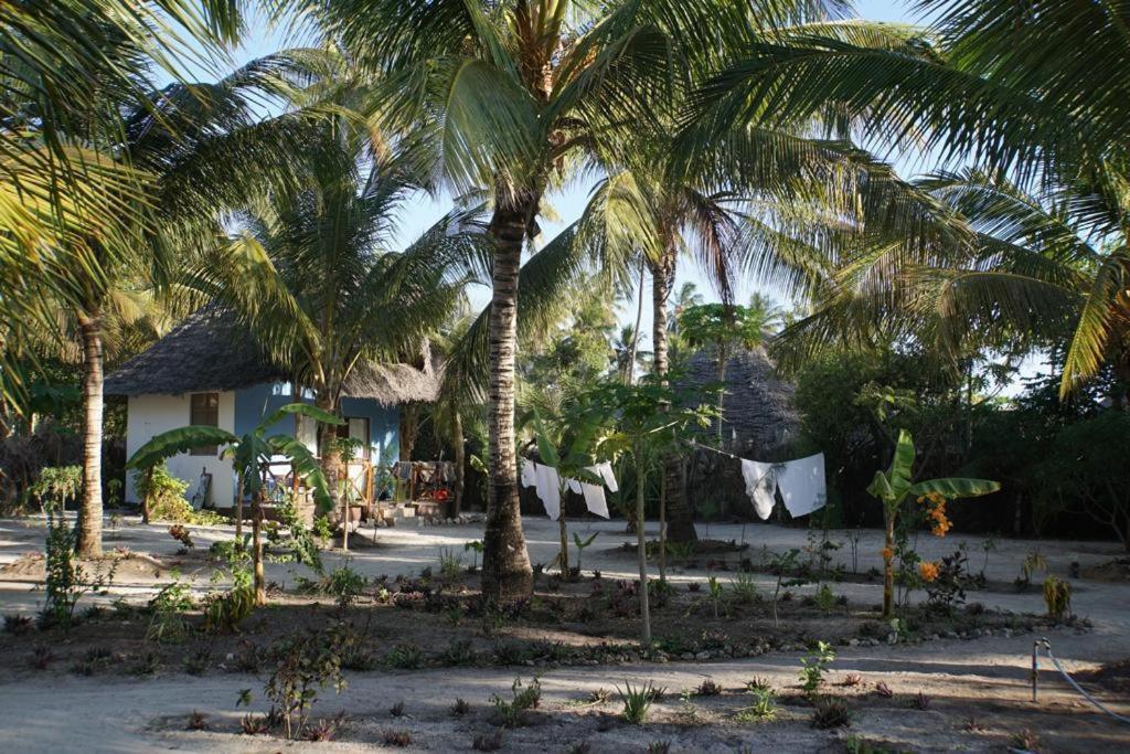 Bed & Breakfast Dreams Of Mapacha