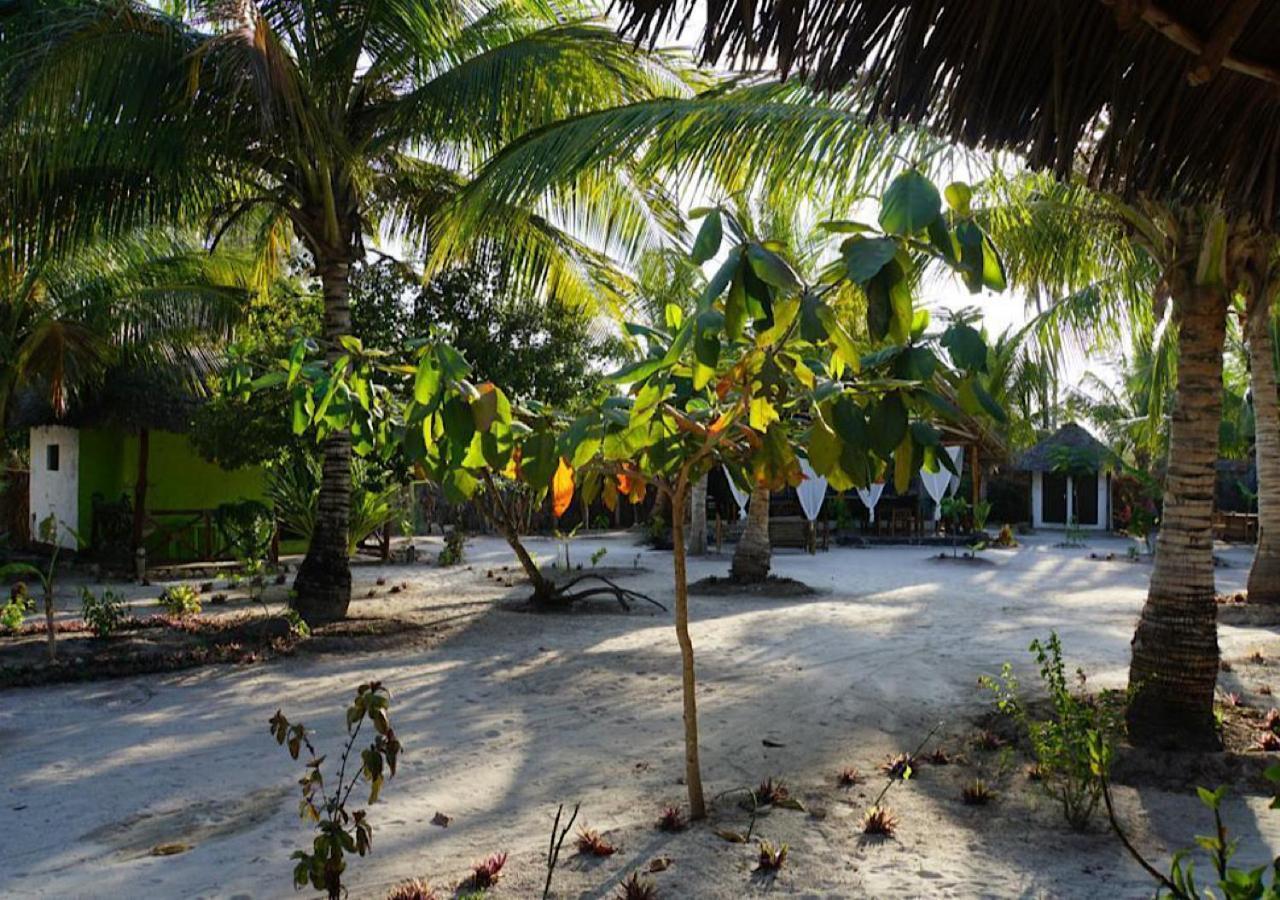 Dreams Of Mapacha Bed & Breakfast Michamvi Kae