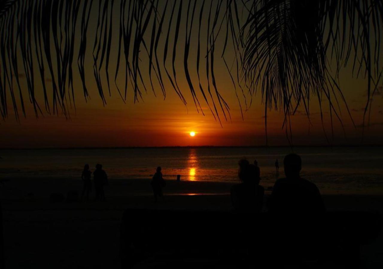 Dreams Of Mapacha Bed & Breakfast Michamvi Kae