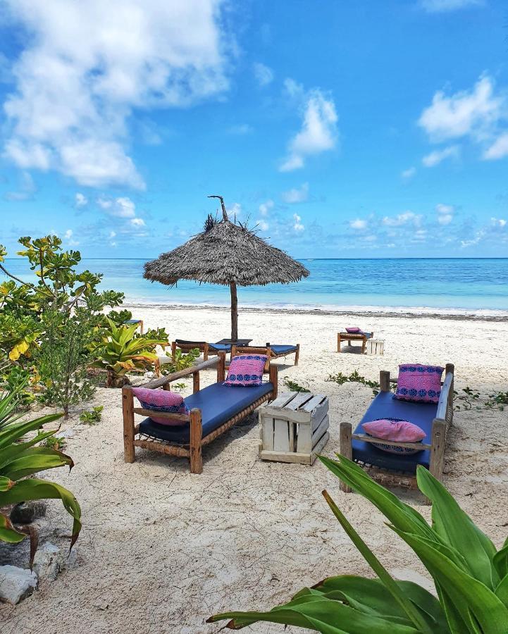 Bed & Breakfast Blue Palm Zanzibar Bwejuu