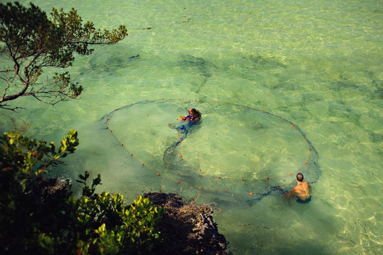 The Island - (adults Only) 3*