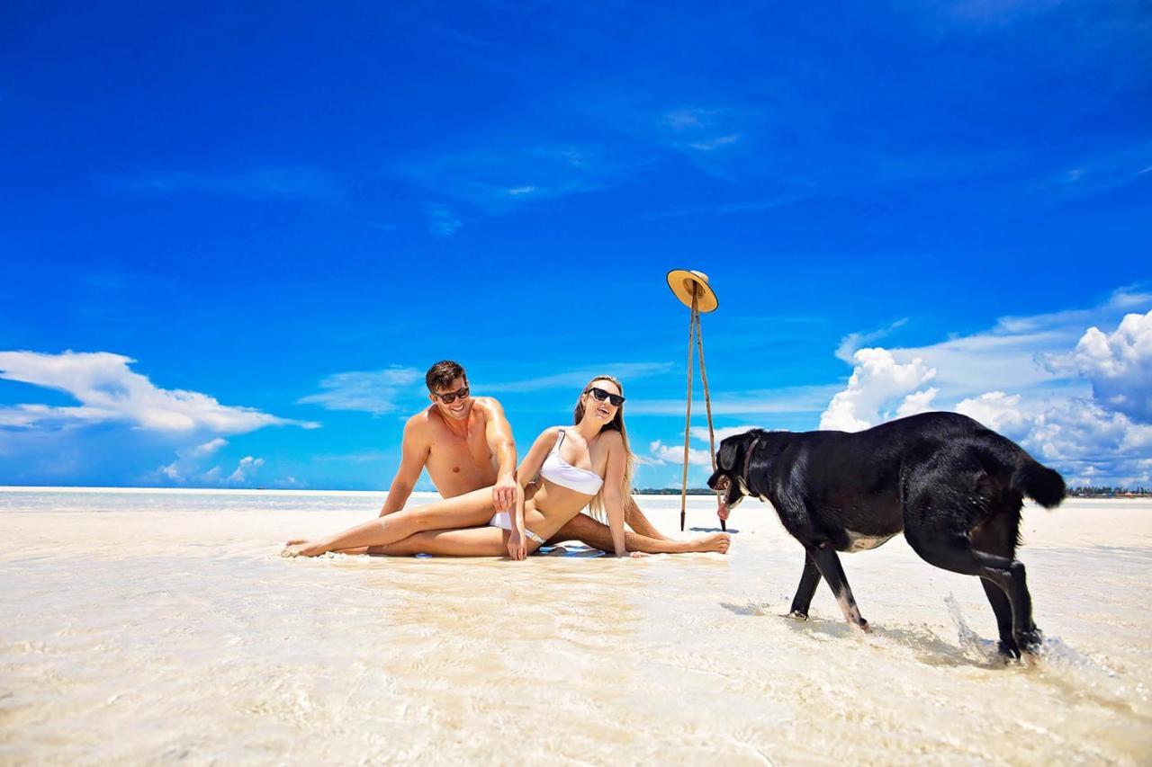 The Island - (adults Only) Pongwe