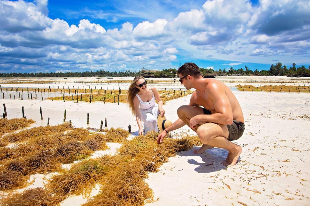 The Island - (adults Only) Hotel Pongwe
