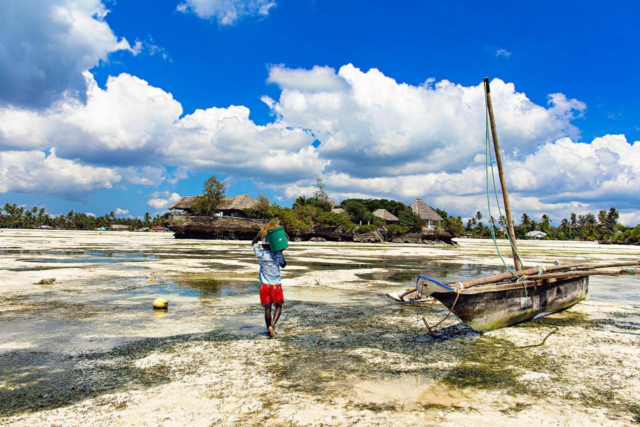 The Island - (adults Only) Hotel Pongwe
