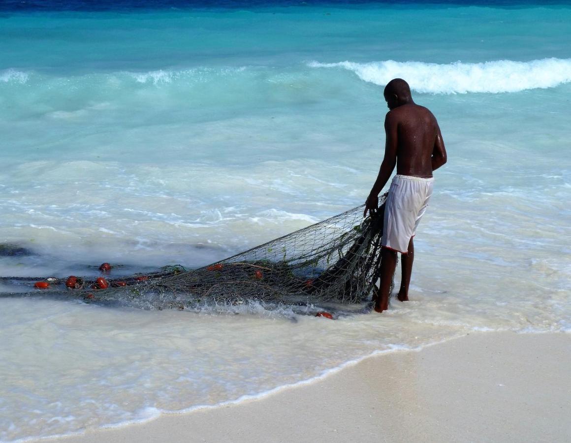 Demani Zanzibar Paje