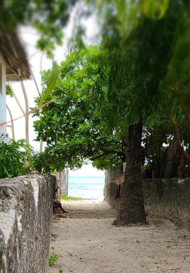Apartment Mbaliparadise Guest Pemba