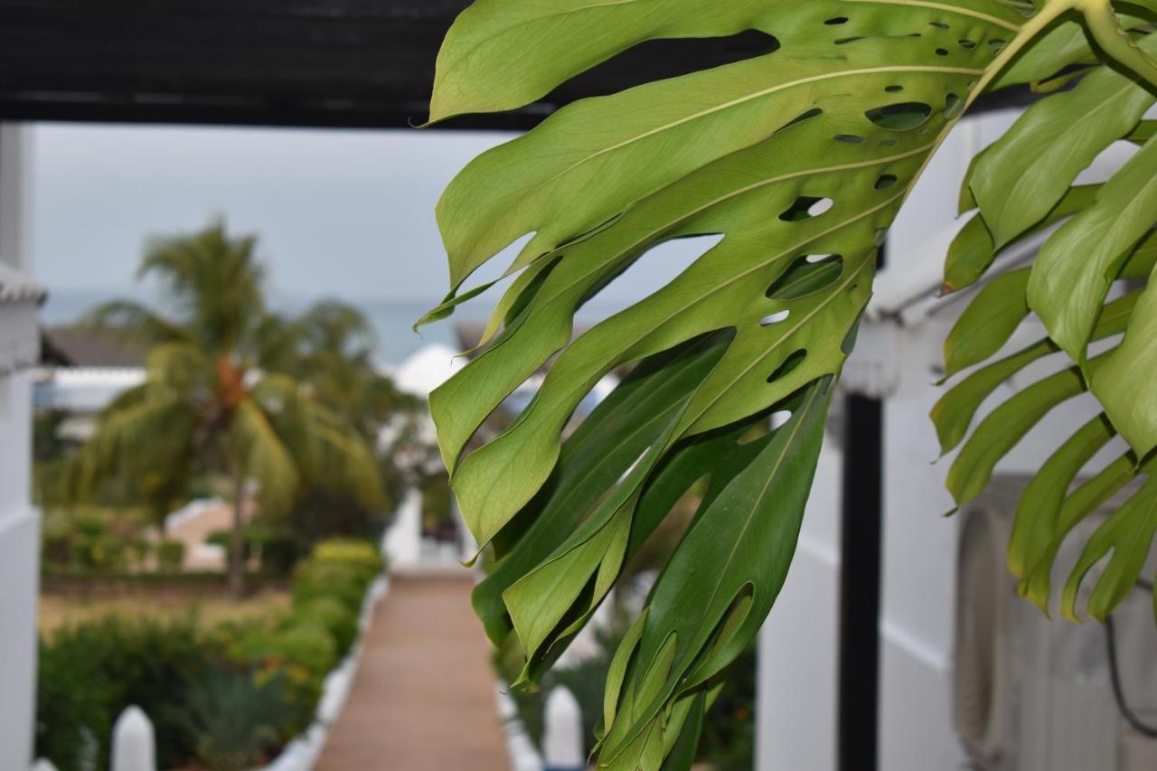 Varadero Zanzibar Hotel Kendwa