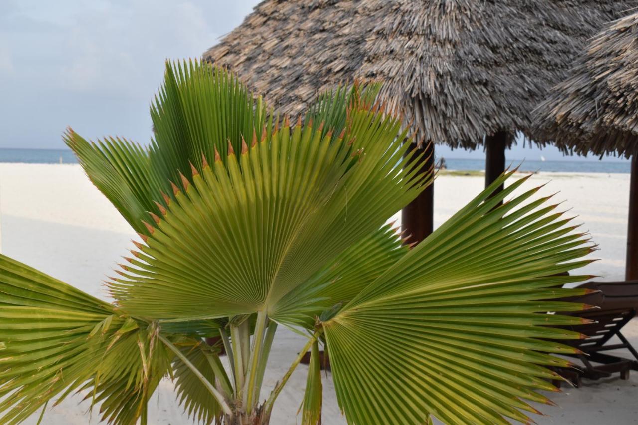 Hotel Varadero Zanzibar 3*