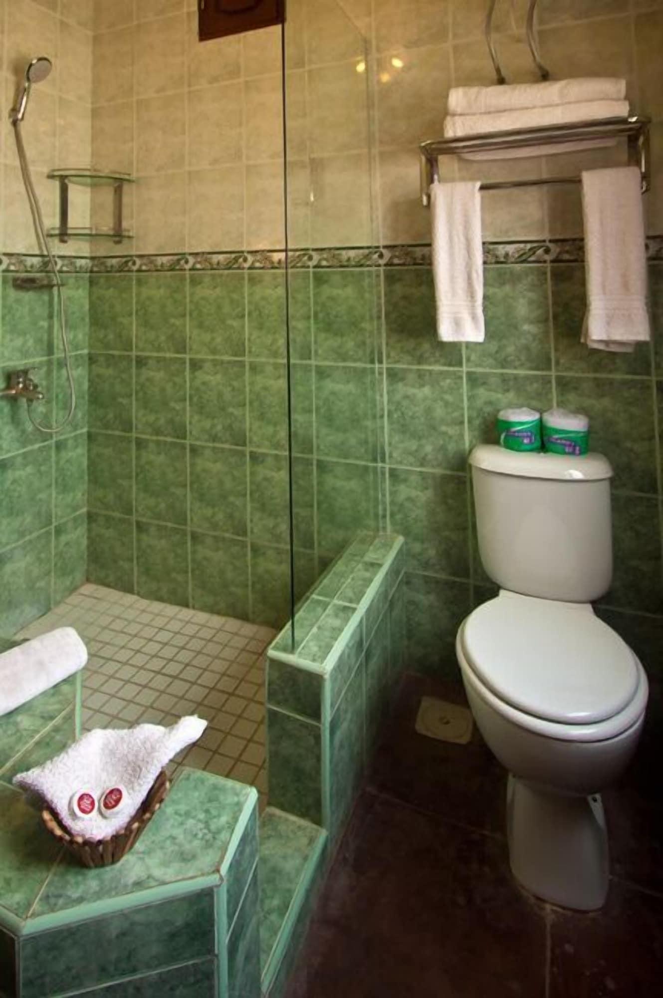 Asmini Palace Hotel 3*