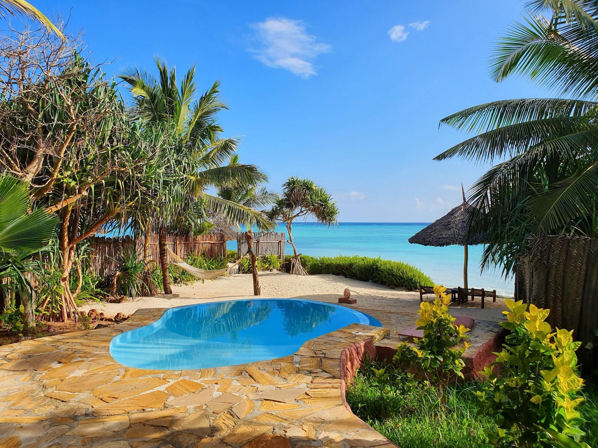 The Zanzibari Nungwi