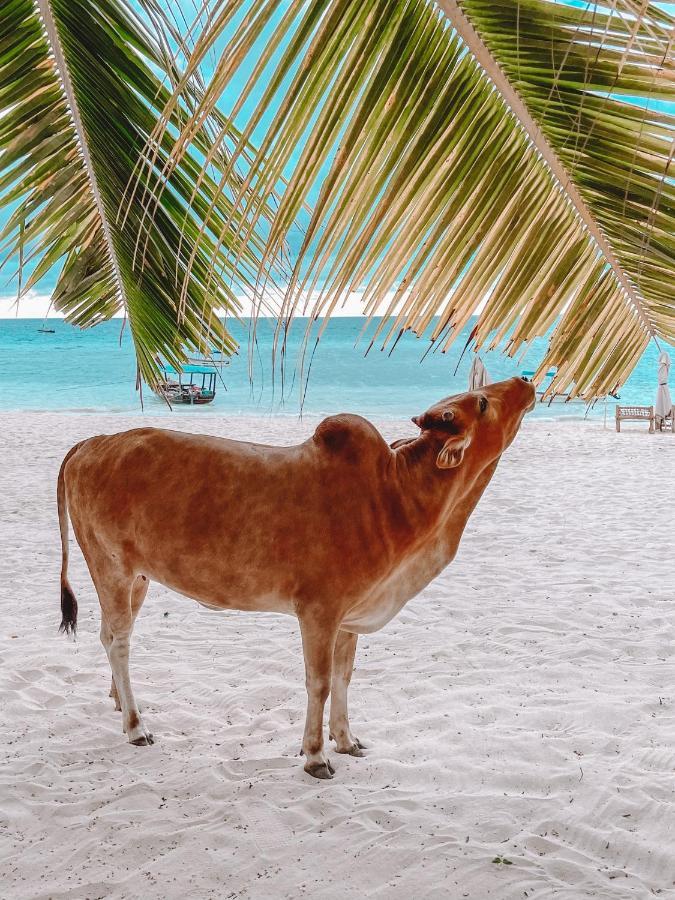 Zanzibar Star 4* Nungwi