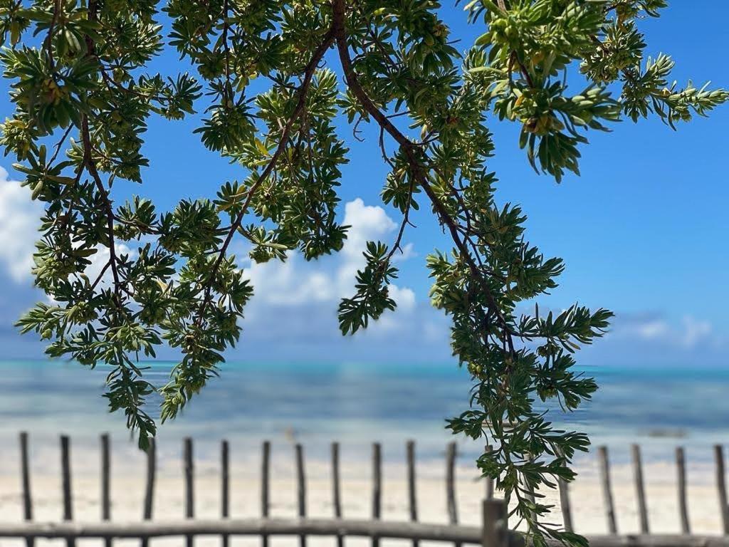 Mars A.k. * Jambiani (Zanzibar)