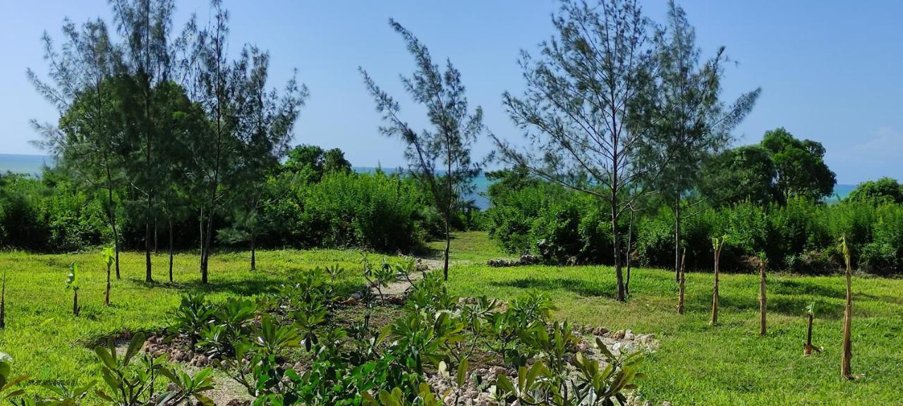 Resort Amani Nature Retreat