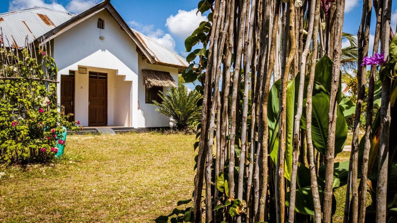 Guest house More Africa 2*