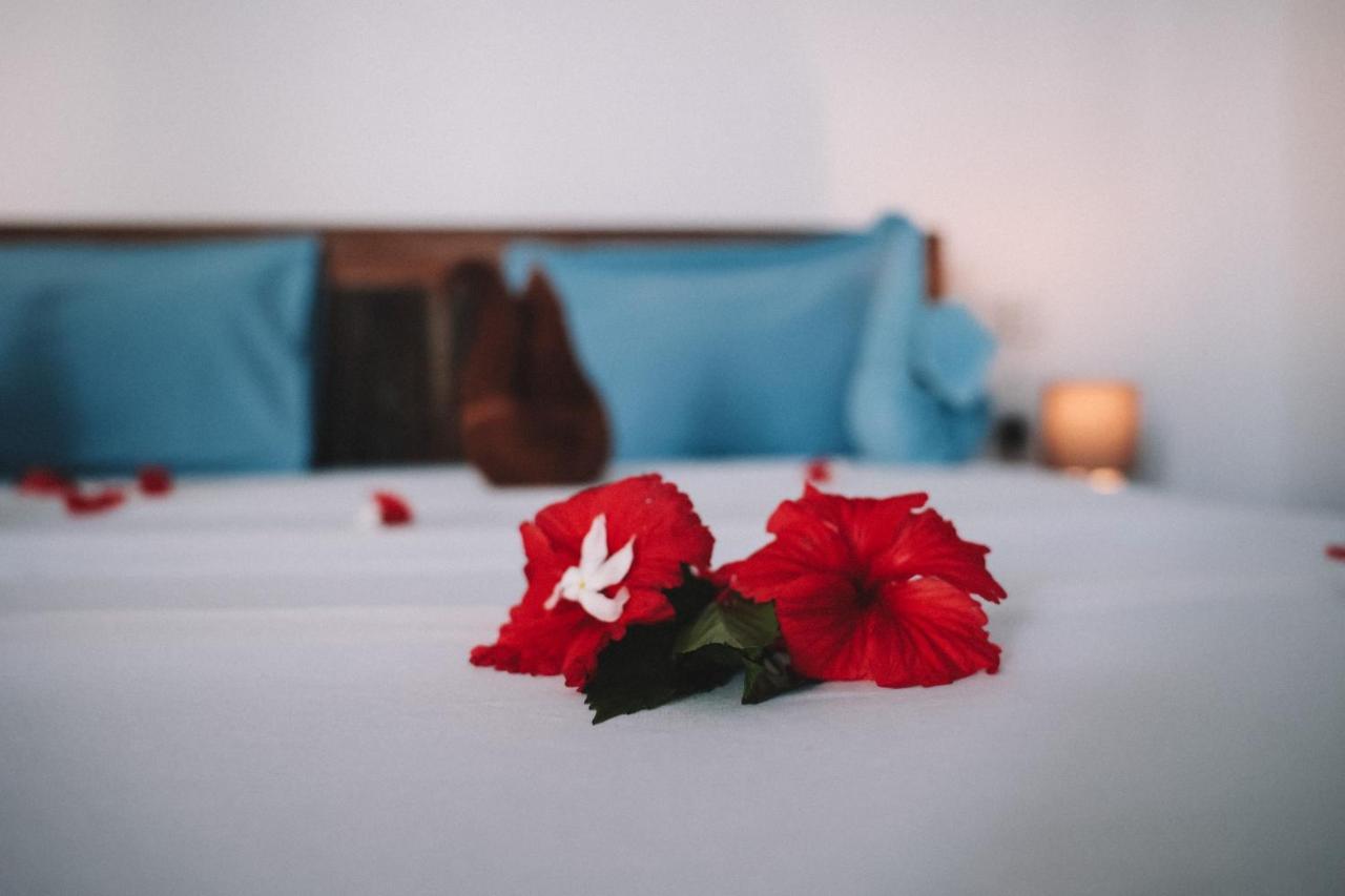 Zima Hotel *