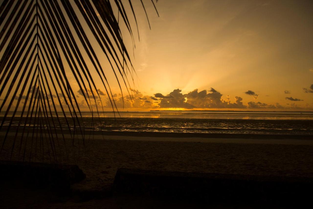 Hotel Antonio Tree House & 4*