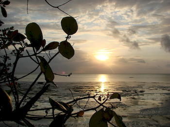 Zanzibar Rock