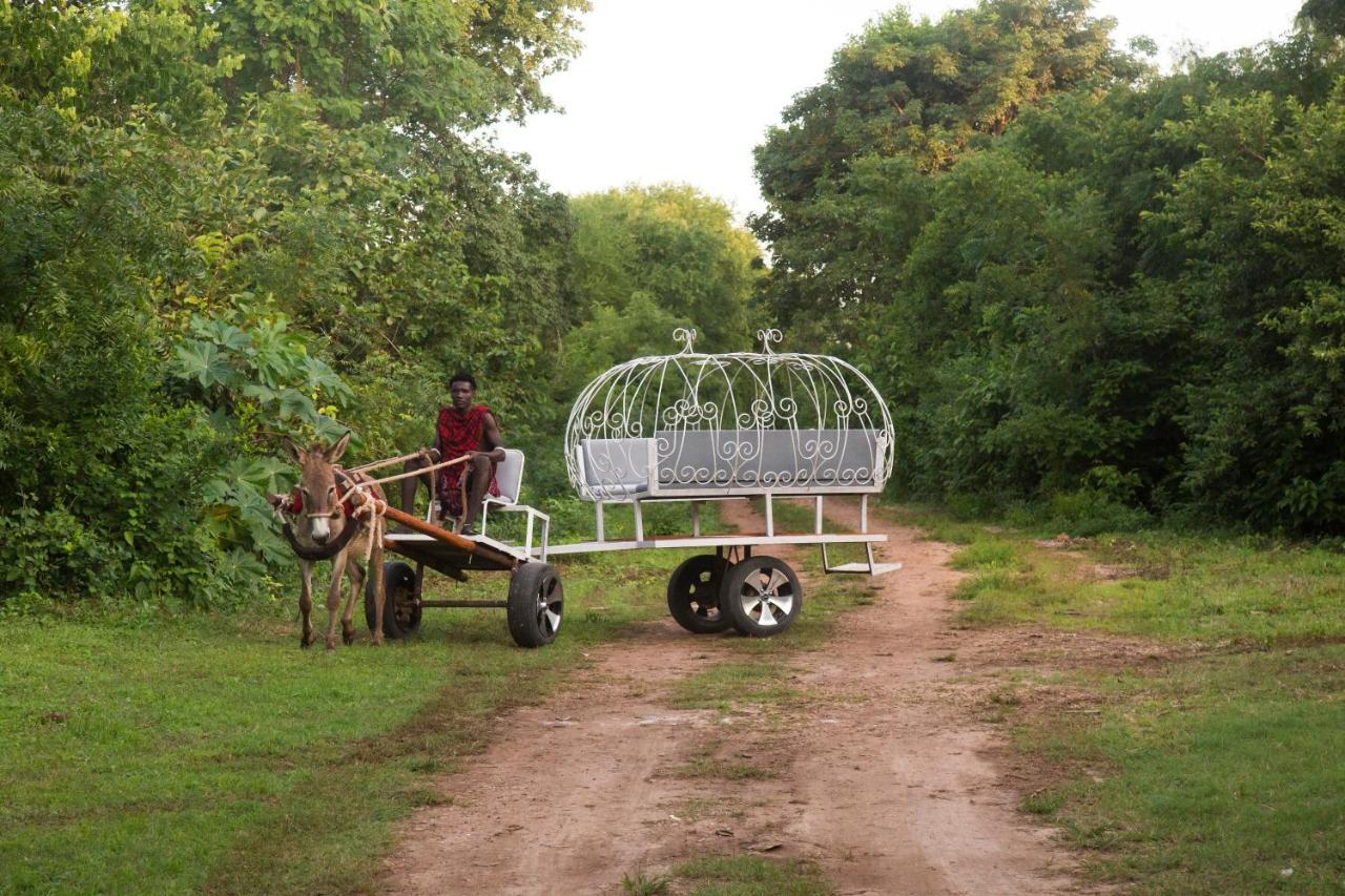 Hotel Antonio Tree House & 4*