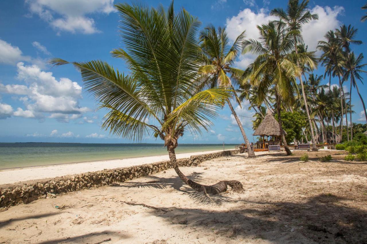 Hotel Antonio Tree House &
