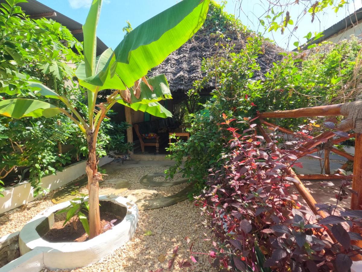 Bed & Breakfast Savi House Nungwi