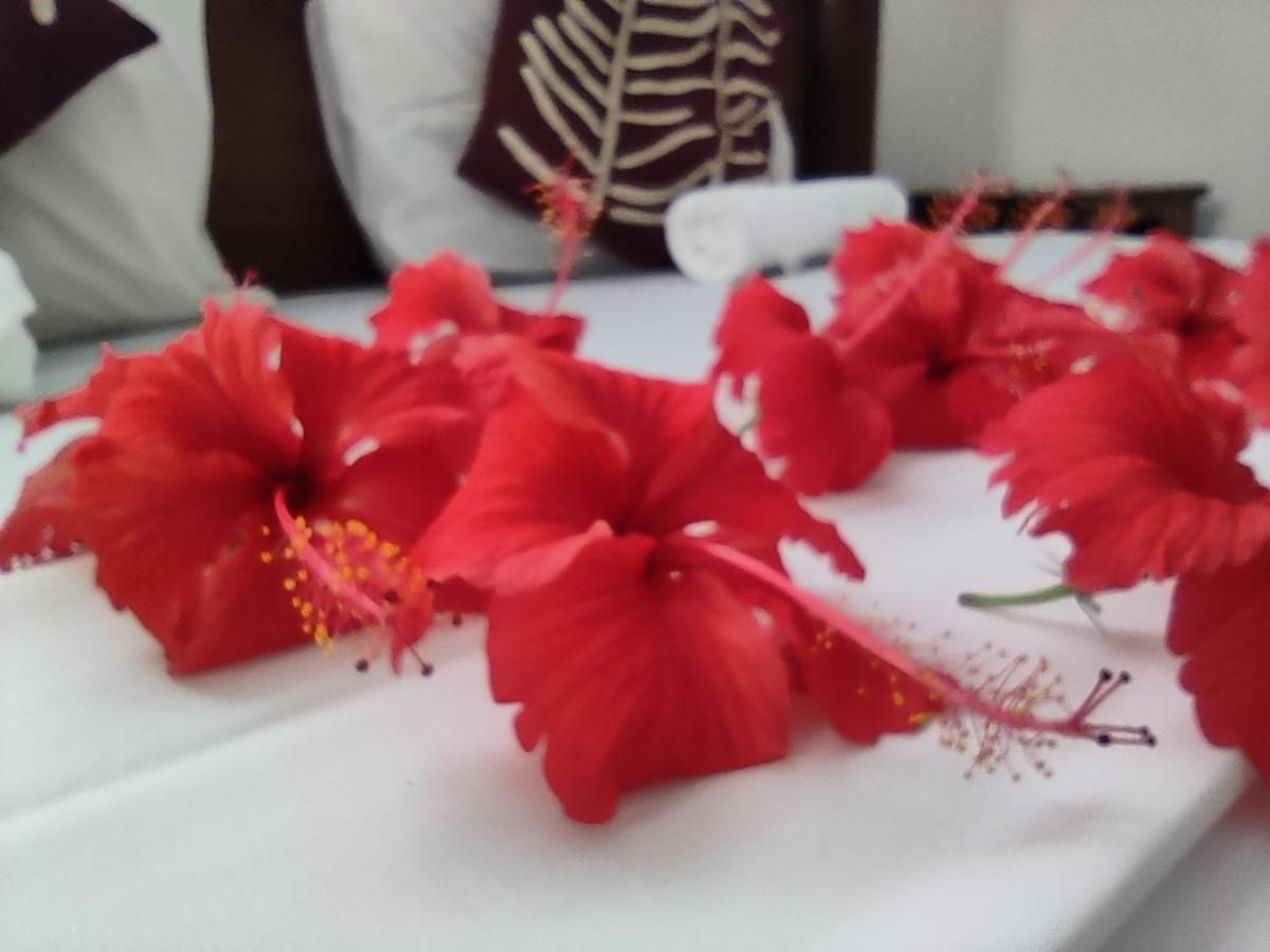Uroa Beach Lodge