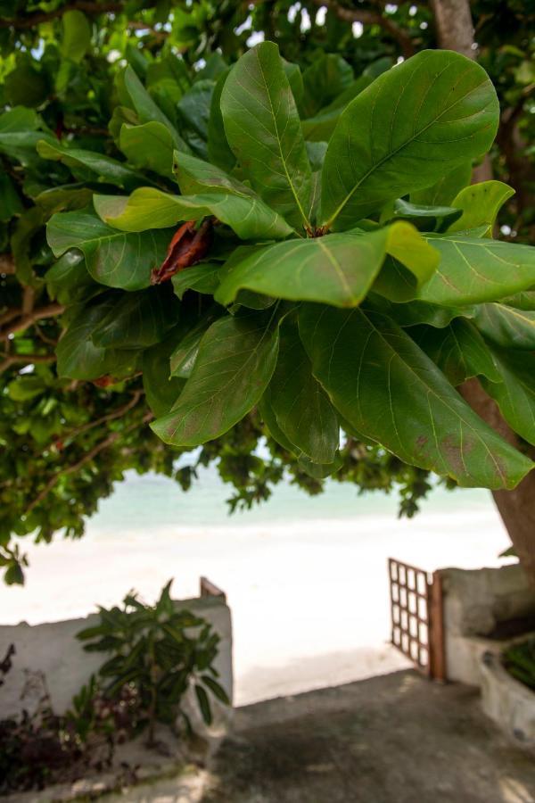Uroa Beach Lodge Uroa