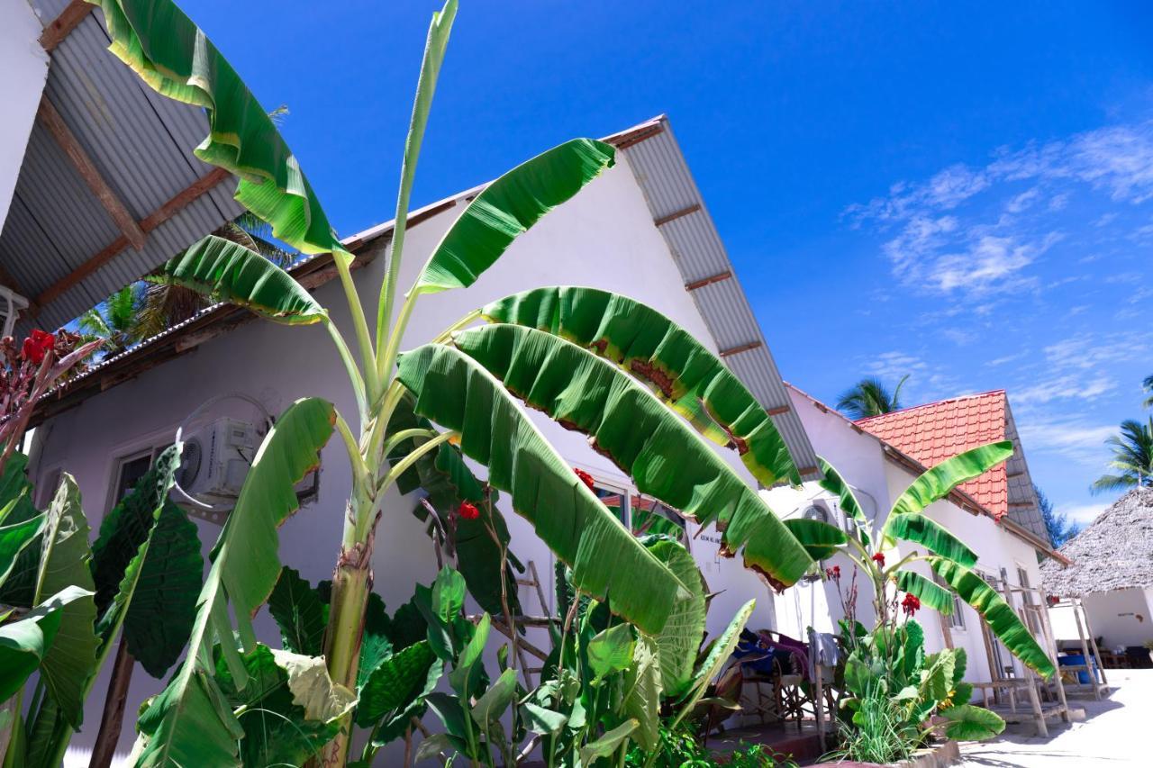 Heart Of Zanzibar * Paje