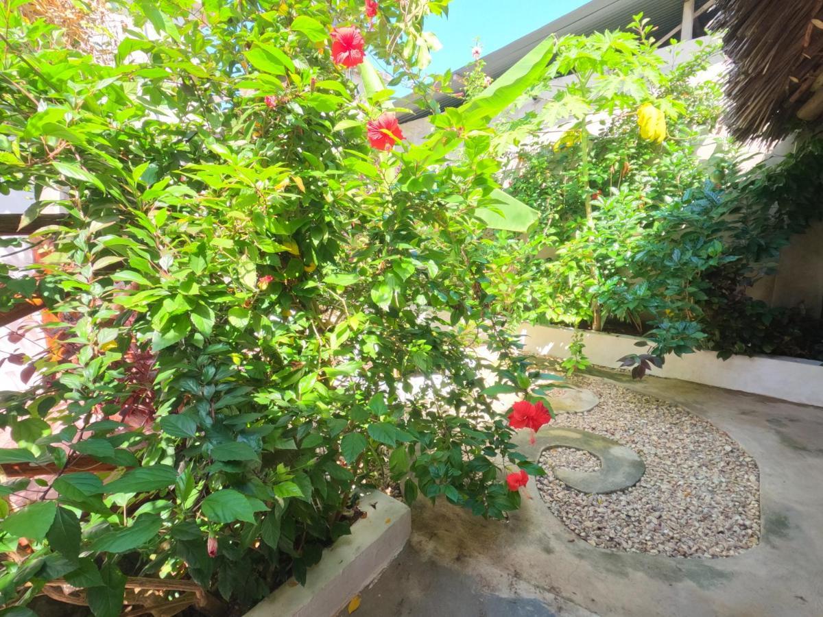 Savi House Bed & Breakfast *
