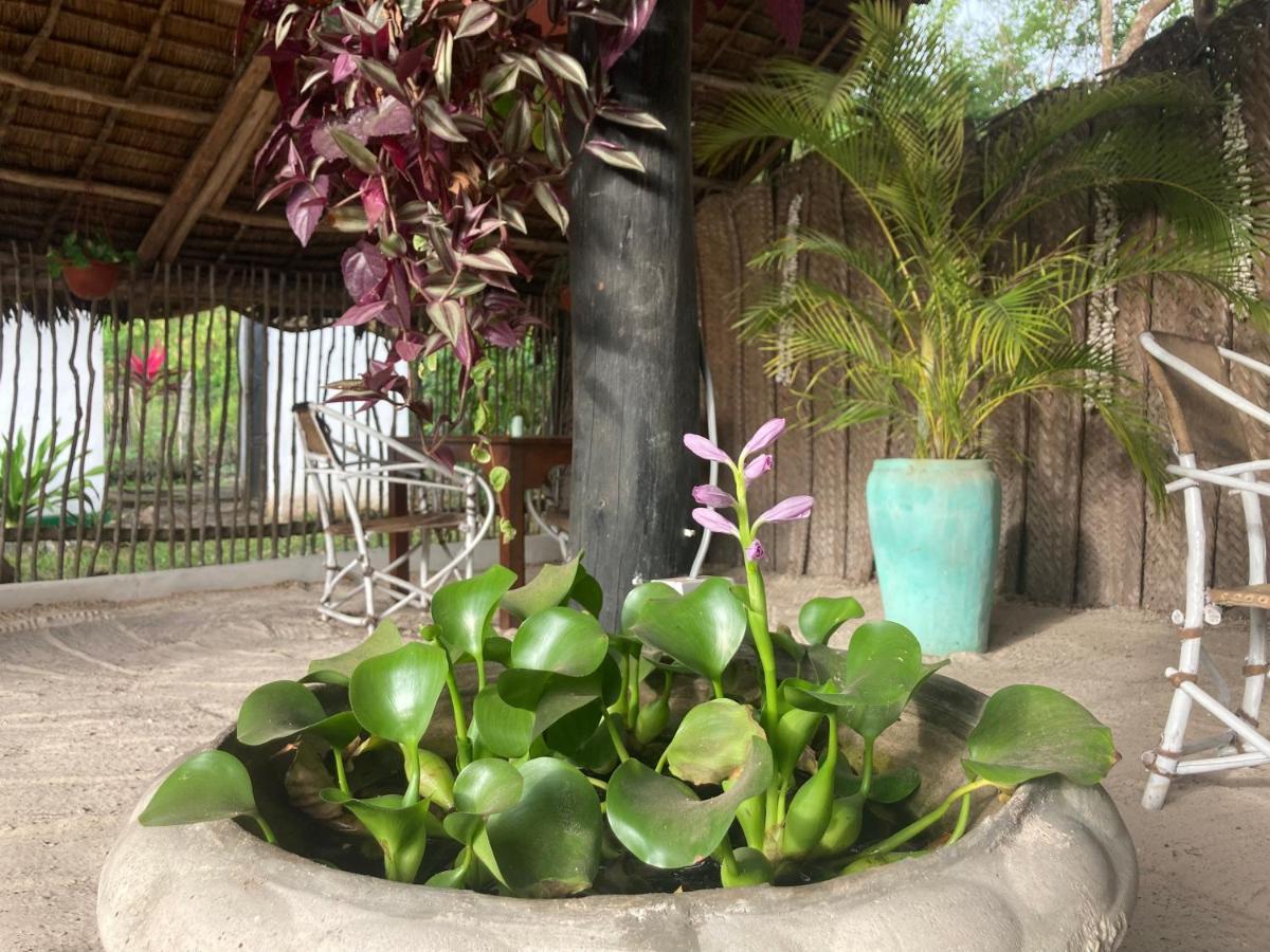 Lodge Botanica Eco Michamvi Kae