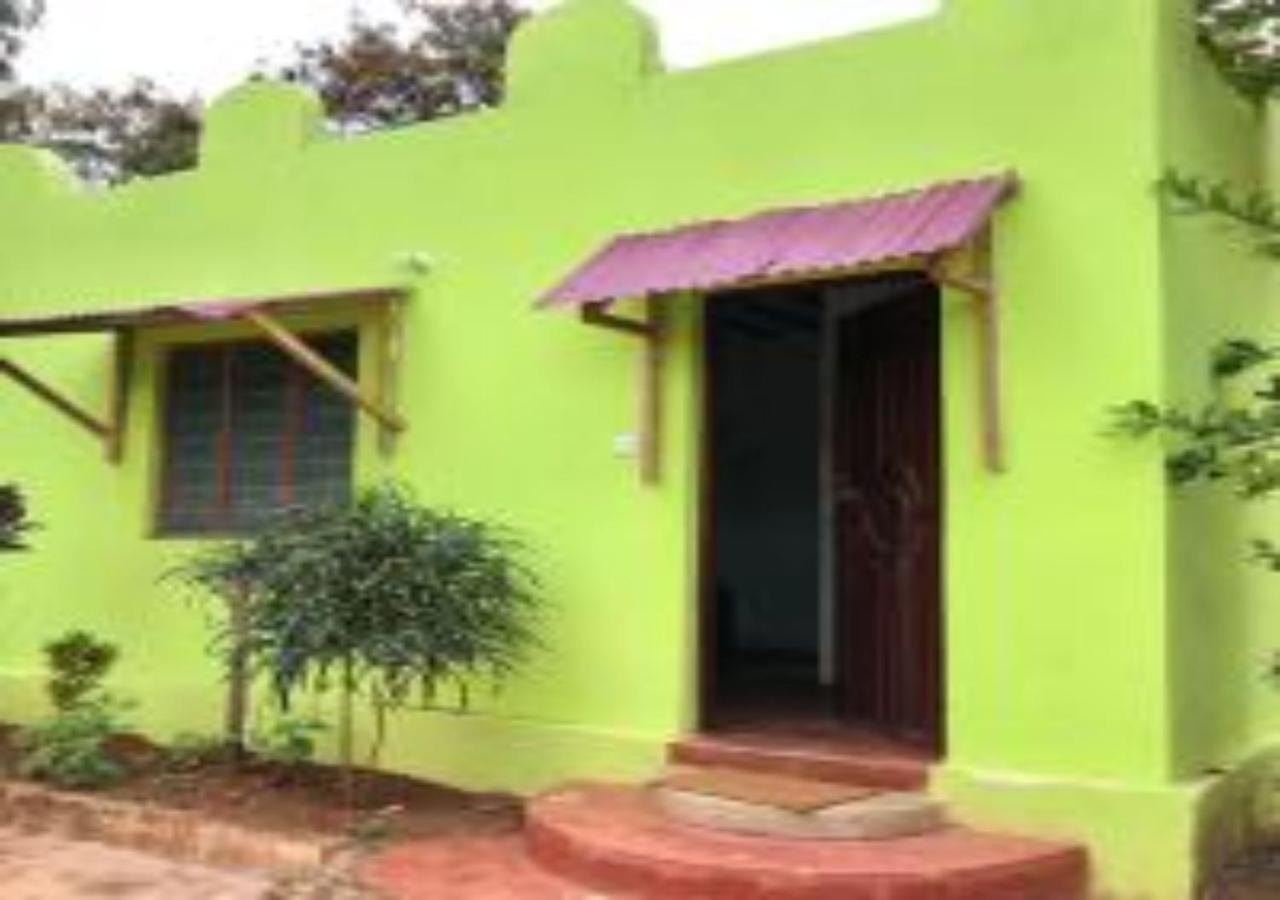 Magharibi House Homestay *