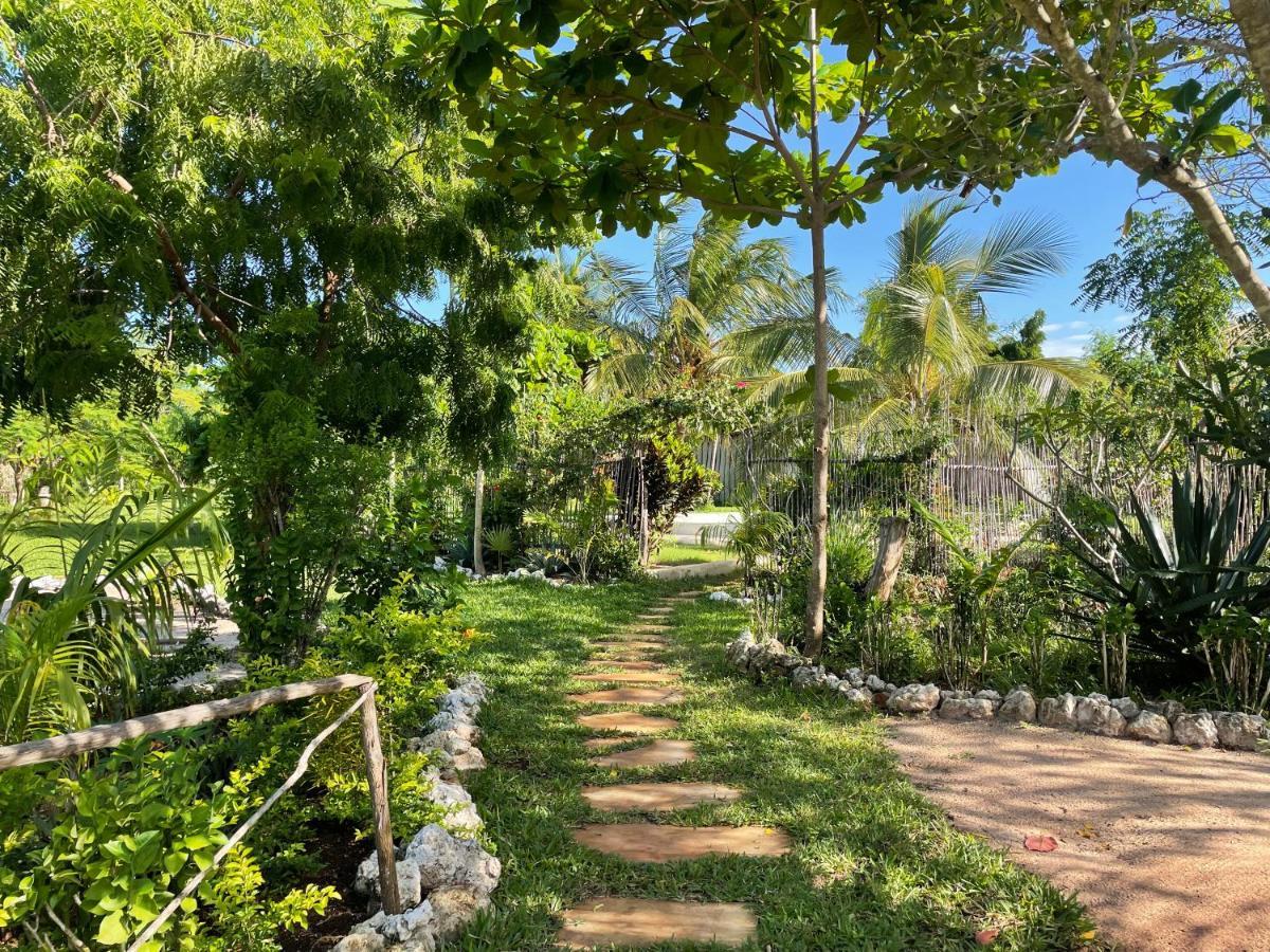 Botanica Eco