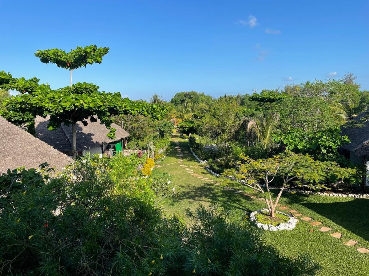 Lodge Botanica Eco