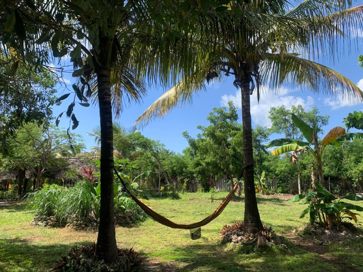 Lodge Botanica Eco Michamvi Kae