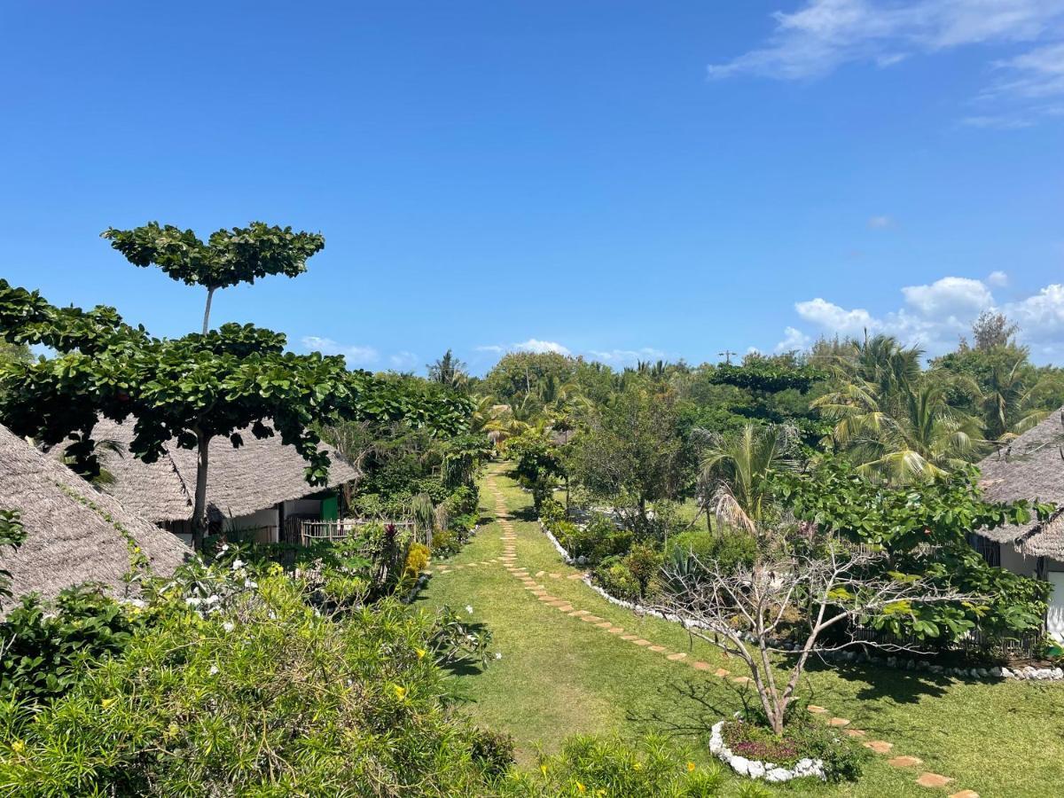 Botanica Eco * Michamvi