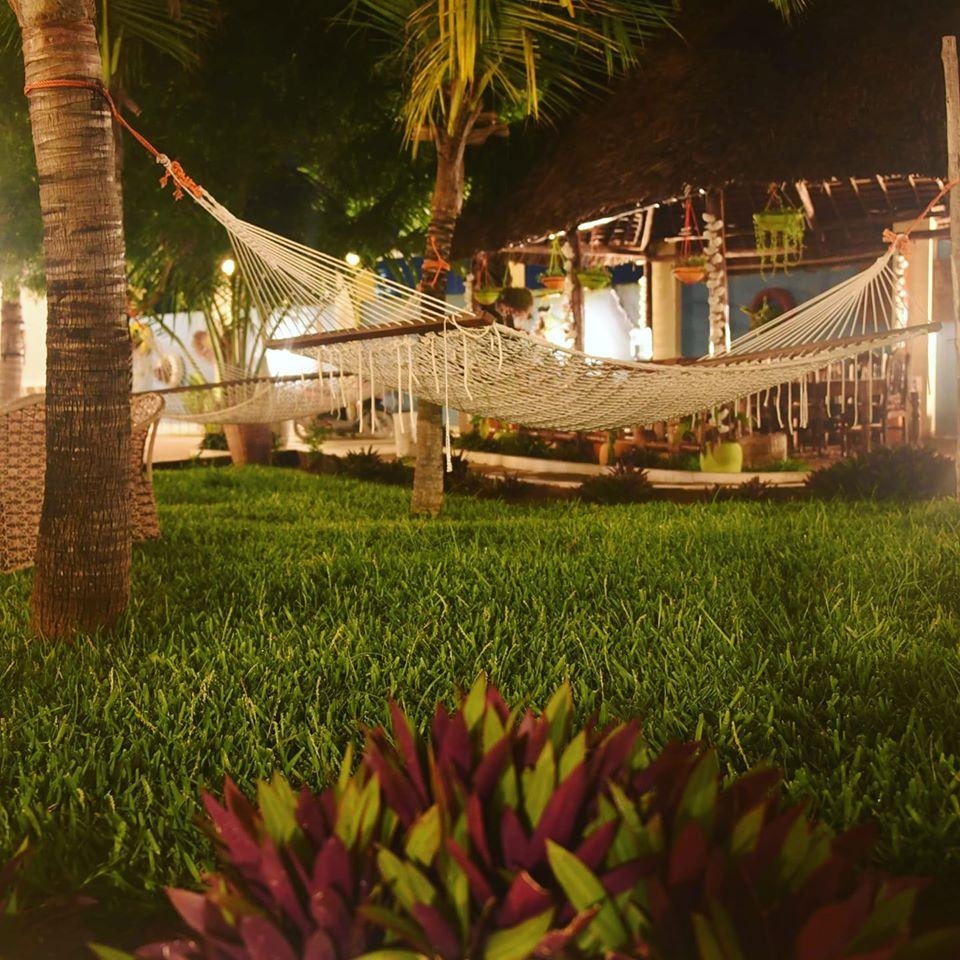 Hostel Green's