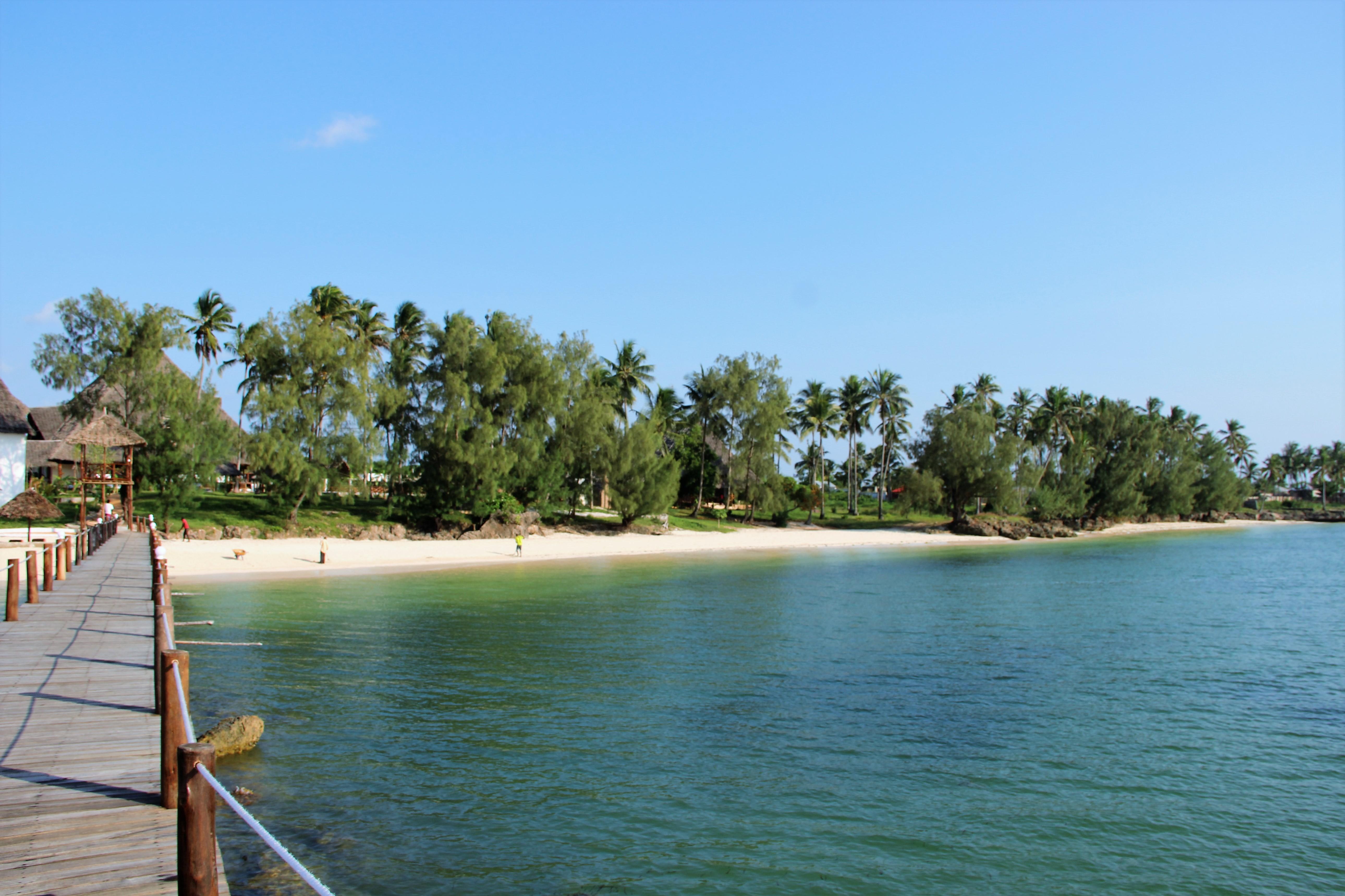 Paradise &