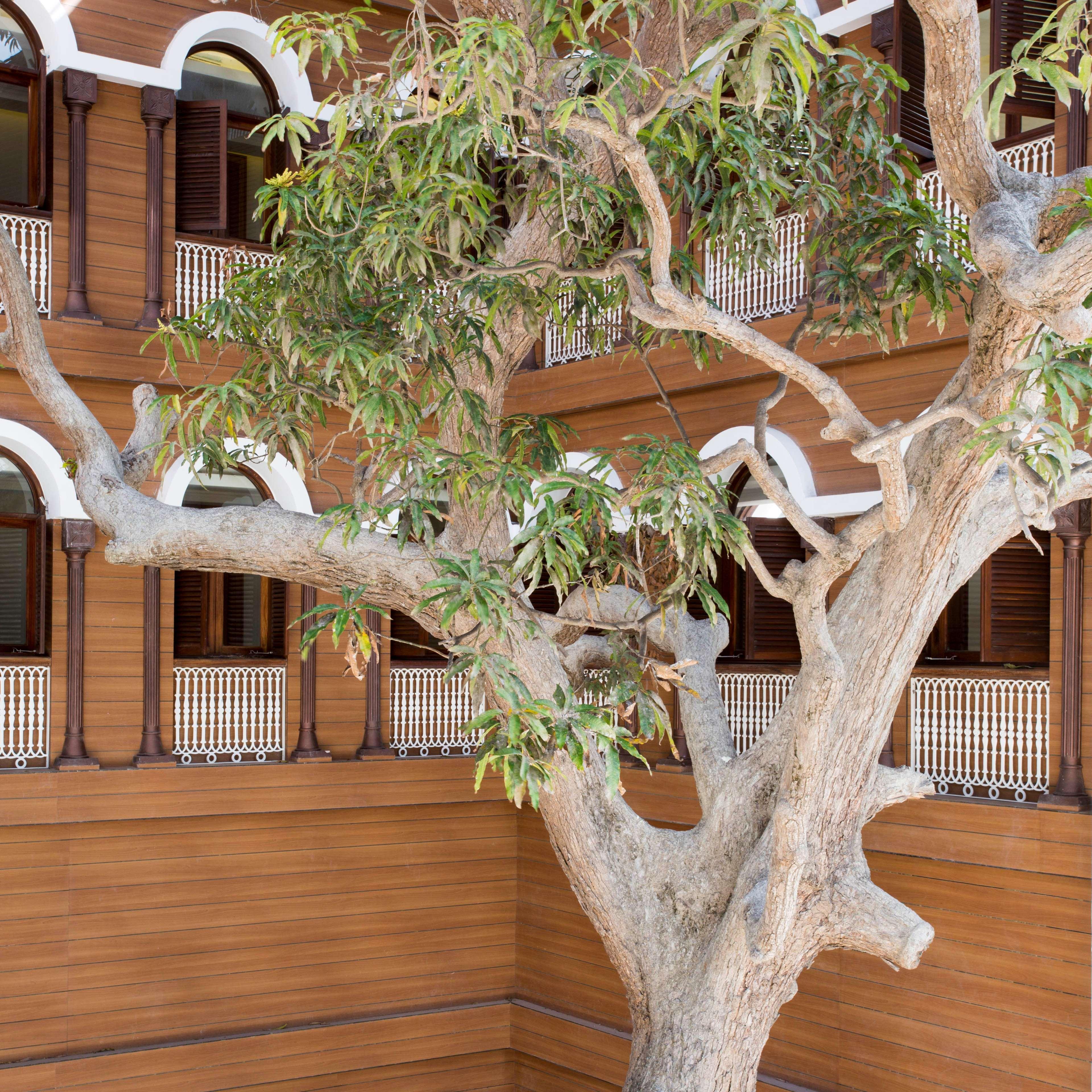 Park Hyatt Hotel