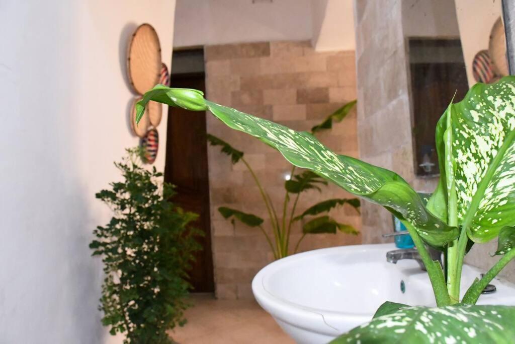 Kiotani Apartment Zanzibar